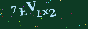 Validation image
