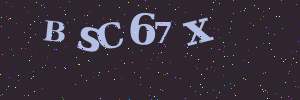 Validation image