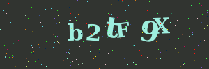 Validation image