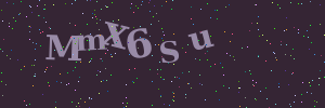 Validation image