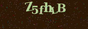 Validation image