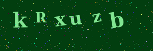 Validation image