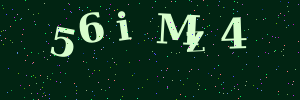 Validation image