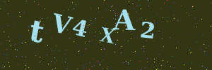 Validation image
