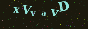 Validation image