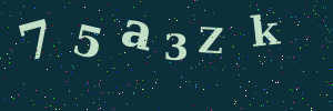 Validation image