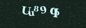 Validation image