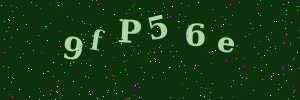 Validation image