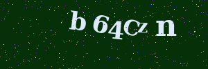 Validation image