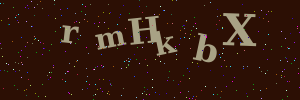 Validation image