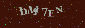 Validation image