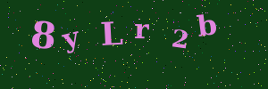 Validation image