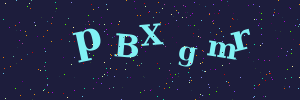Validation image