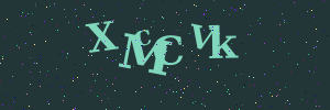 Validation image