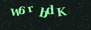 Validation image