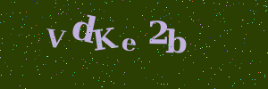 Validation image