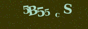 Validation image