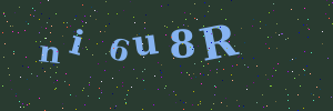 Validation image