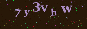 Validation image