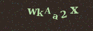 Validation image