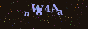 Validation image
