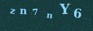 Validation image