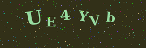Validation image