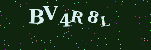 Validation image