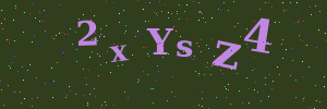 Validation image