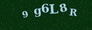 Validation image