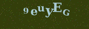 Validation image