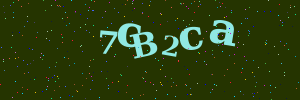 Validation image