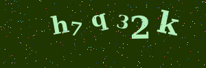 Validation image
