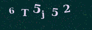 Validation image