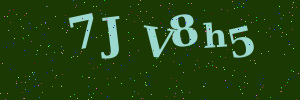 Validation image