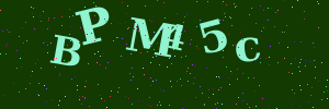 Validation image