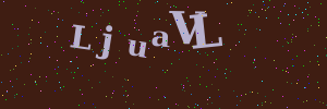 Validation image