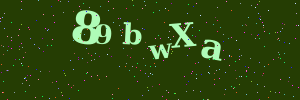Validation image