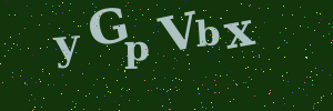 Validation image