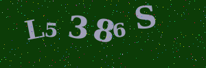 Validation image