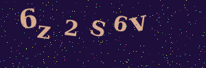Validation image