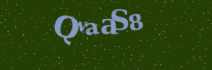 Validation image