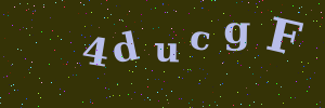 Validation image