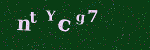 Validation image