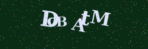 Validation image