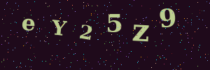 Validation image