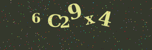 Validation image