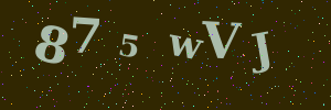 Validation image