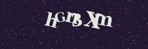 Validation image