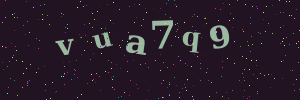 Validation image